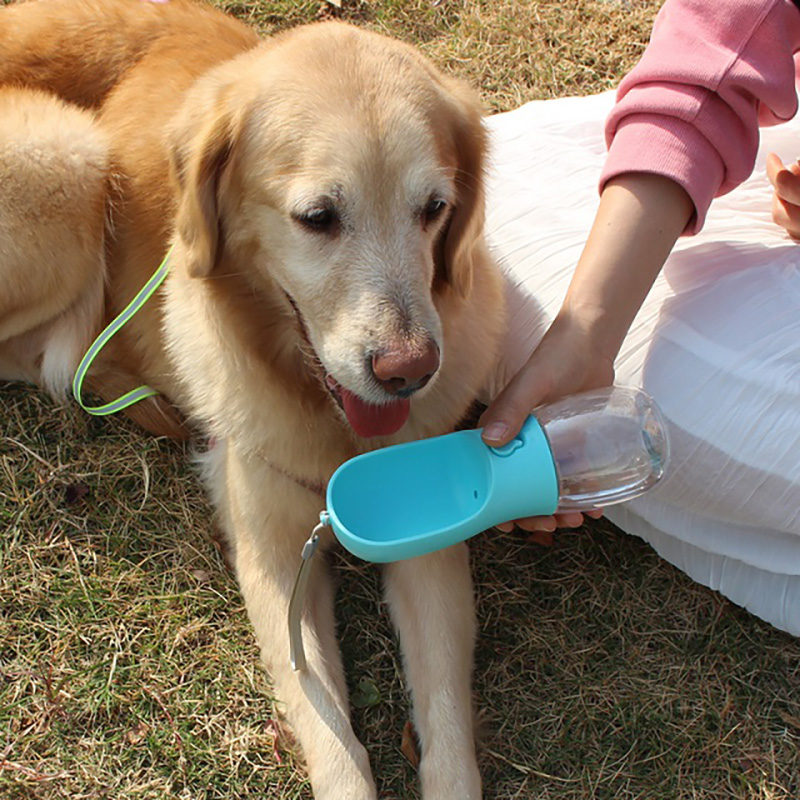 Élelmiszer -minőségű műanyag szivárgásbiztos hordozható kölyökkutya -adagoló kutya vizes palack ivó adagolóval háziállatok számára kültéri séta túrázás utazás