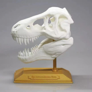 3d műanyag nyomtatási szolgáltatás, Sls 3d nyomtató prototípus