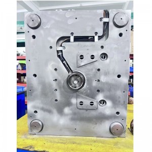 Fröccsöntő penész-2