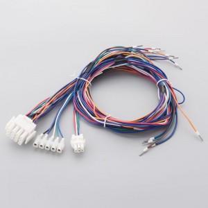 6.3 Forma férfi ésnői