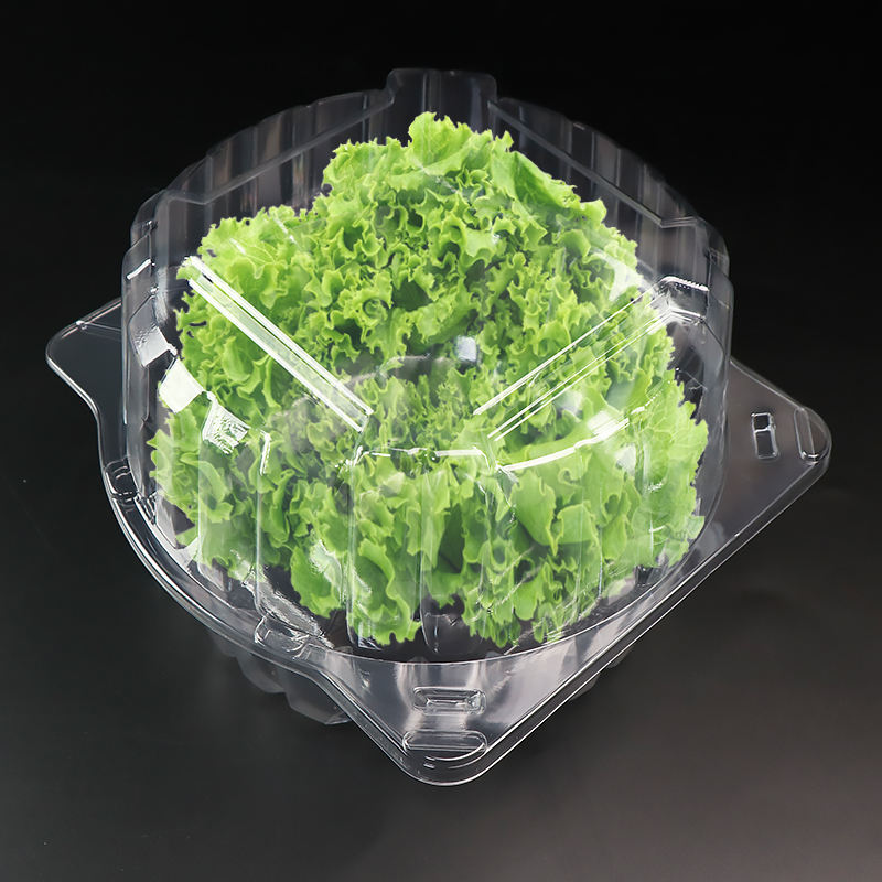 Átlátszó RPET vagy PET CLAMSHELL hólyagos tartály 1 font saláta gyógynövény saláta levélcsomagoló doboz