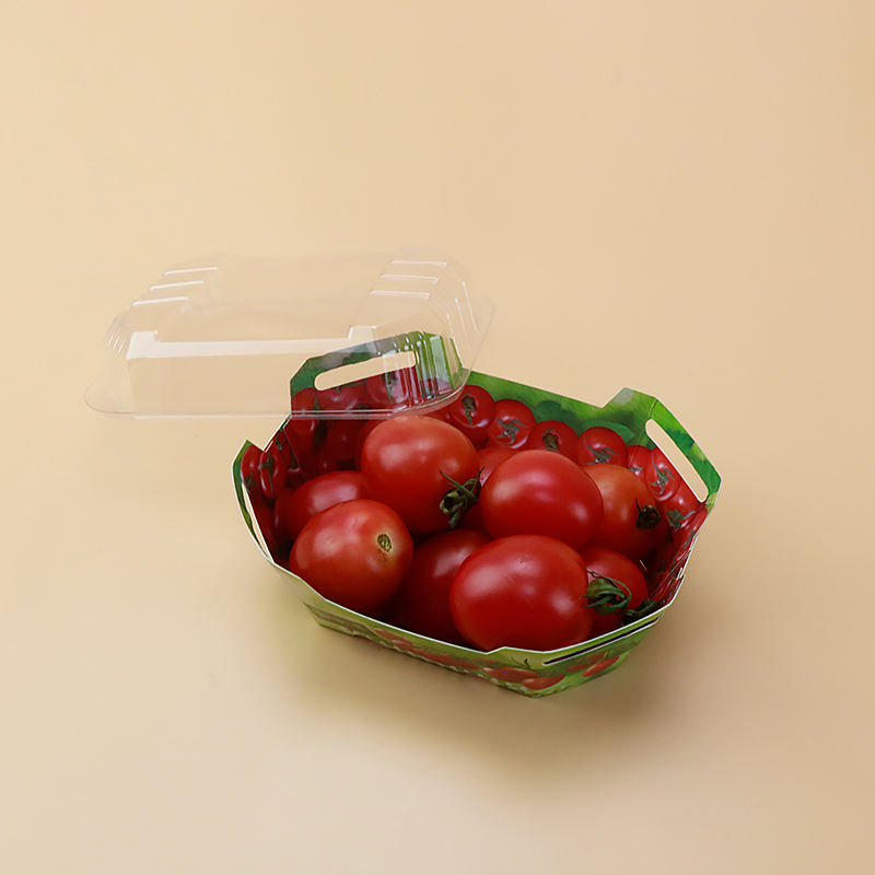 Egyéni műanyag kartondobozok a gyümölcshöz fekvő gyümölcscsomagoló tartályhoz fedéllel