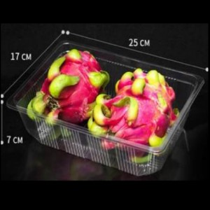 Nincs borító mély tálca 260*180*70 mm HGF-2517H7