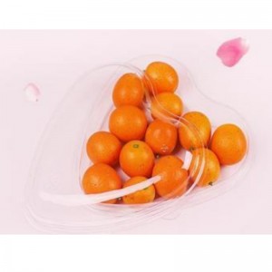 Cardioid doboz átlátszó alsó 185*45 mm