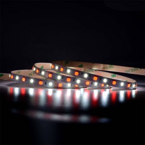 5050 60leds/m RGBW LED szalag