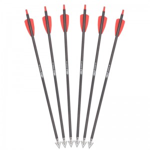 15 hüvelykes rx számszeríj csavarok rozsdamentes acél széles fejjel