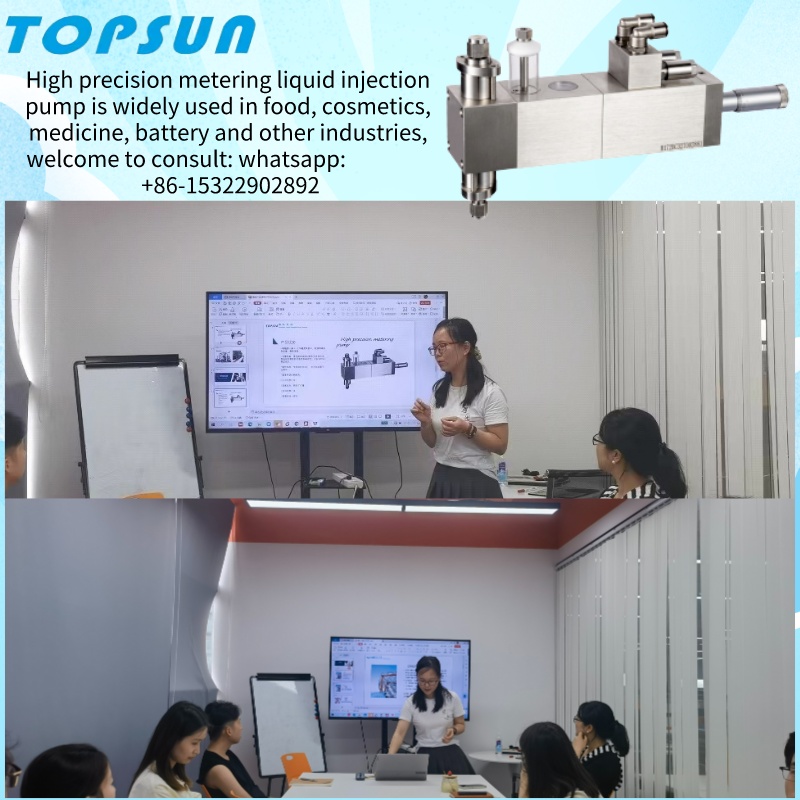 Hogyan lehet kiválasztani a precíziós mérőszivattyút?