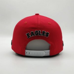 Egyéni kiváló minőségű 6 panel hímzés Két hang előzetes ívelt karcsú kalap alacsony profilú pamut apa baseball sapka