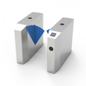 Nyolcszögletű szárnykapu (kék tányér)