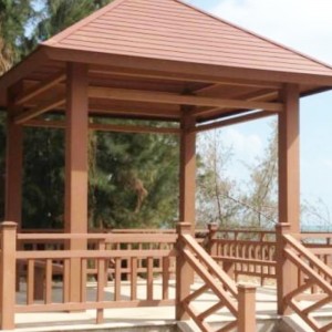 Műanyag extrudálási forma PE -fából Huangshi City -ből