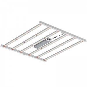 800W 4*4ft Full Spectrum Kertészeti Világítótest Beltéri üvegház vagy kereskedelminövekvő LED -es fény