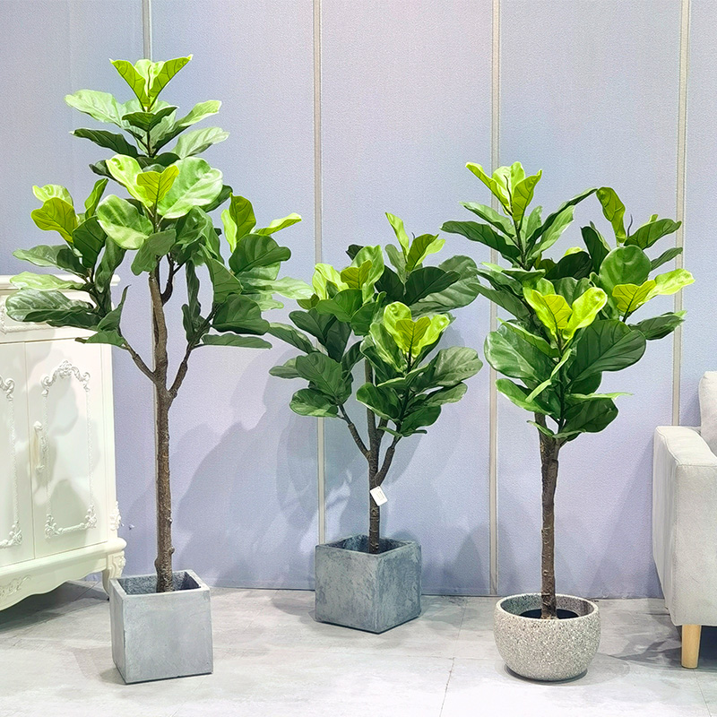 Hála szabadon bocsátott: Kiváló mesterséges műanyag ficus bonsai fák bemutatása!