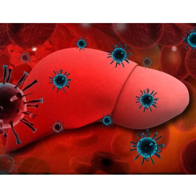 Parma Egyetem: Az NMN javítja a krónikus hepatitis B -t