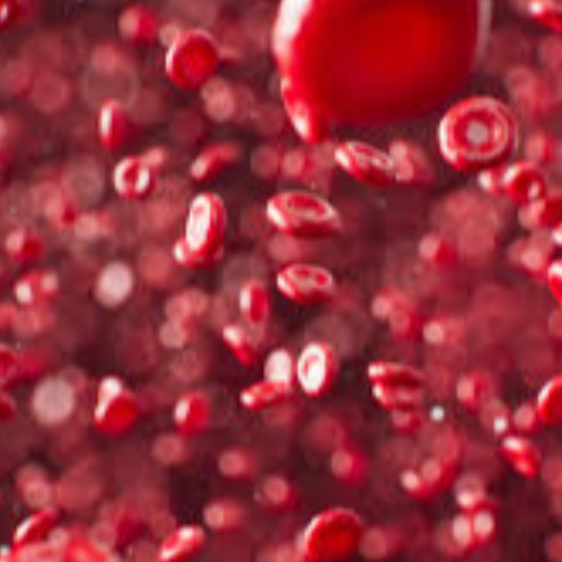 Svájci tudósok: Anad+prekurzor hatékonyan elősegítheti a hematopoietikus funkciókat