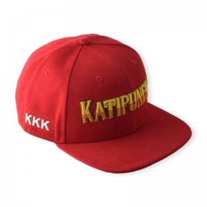 HST márkás gyár közvetlen egyedi 6 panelek csapnyomtatás hip -hop snapback kalap Rich Design 3D hímzés logó lapos karima sapka