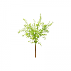 Mesterséges hínárpáfrány